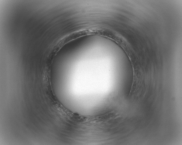 X0000070160773200606162029