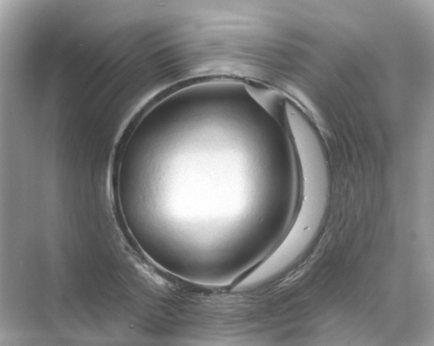 X0000070160788200606162029
