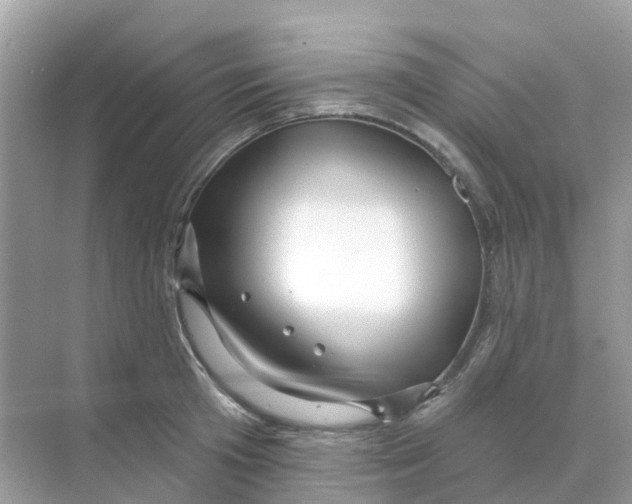 X0000070160801200606162028