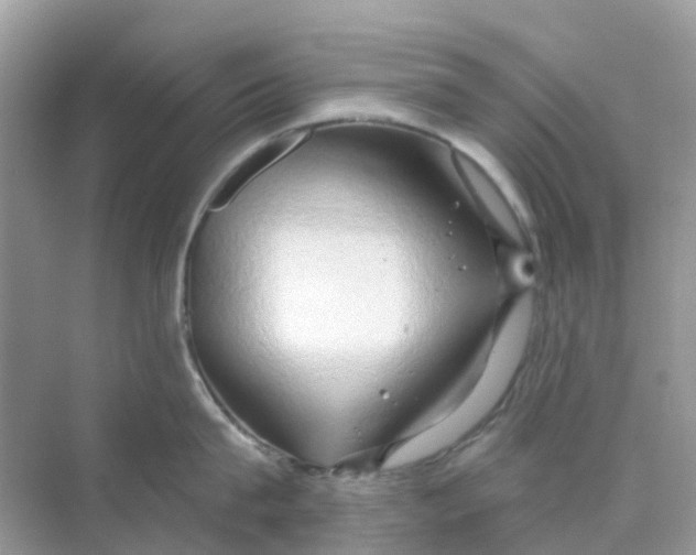 X0000070160815200606162028