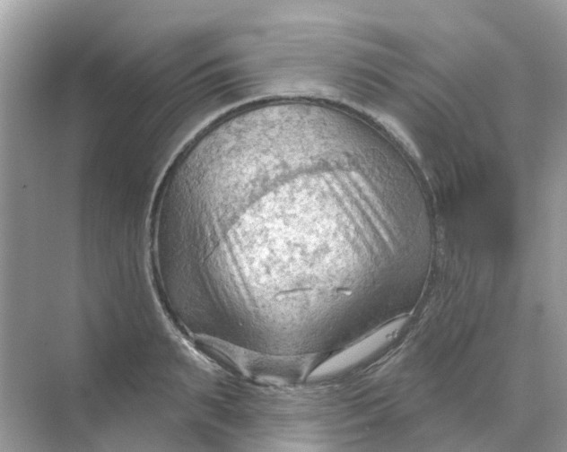 X0000070160895200606162027