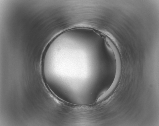 X0000070160902200606162027