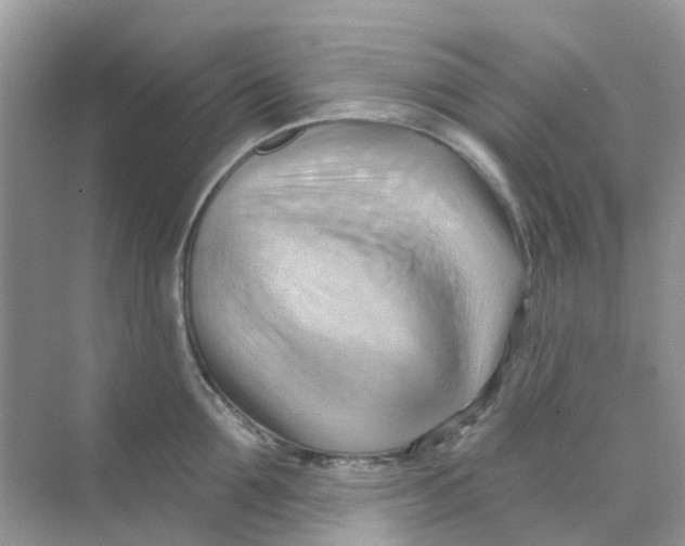 X0000070160907200606162027