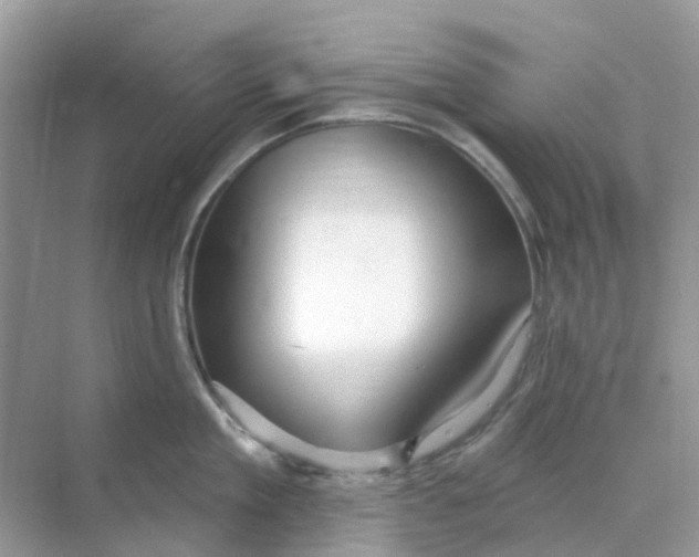 X0000070160909200606162027