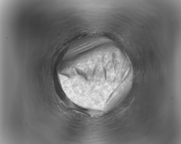 X0000070160913200606162026