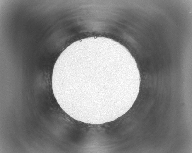 X0000070160918200606162026