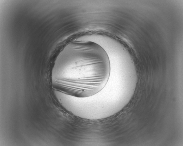 X0000070160920200606162026