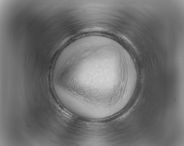 X0000070160921200606162026