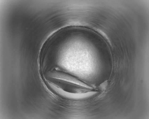 X0000070160935200606162026