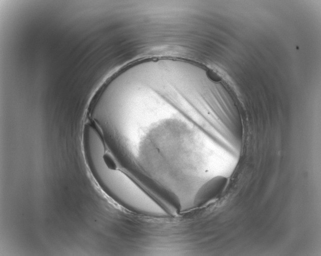 X0000070160941200606162026