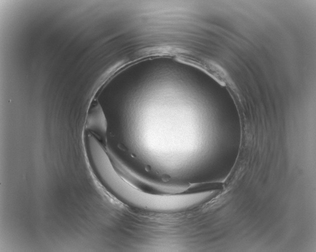 X0000070160946200606162026