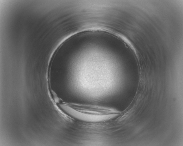 X0000070160951200606162026
