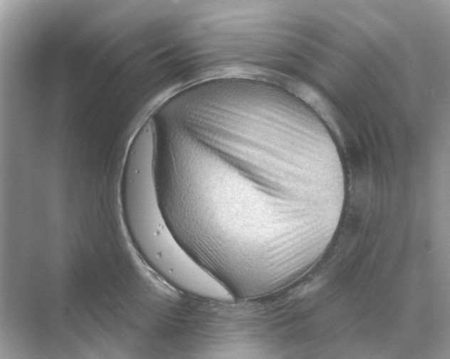 X0000070160954200606162026