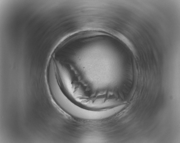 X0000070160958200606162027