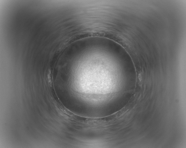 X0000070160963200606162026