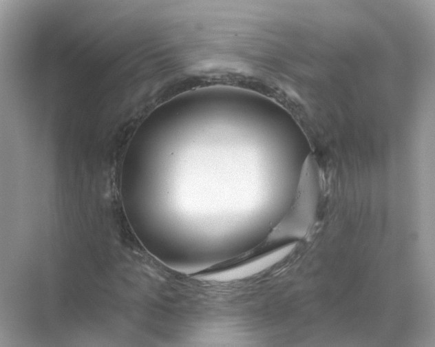 X0000070160965200606162026