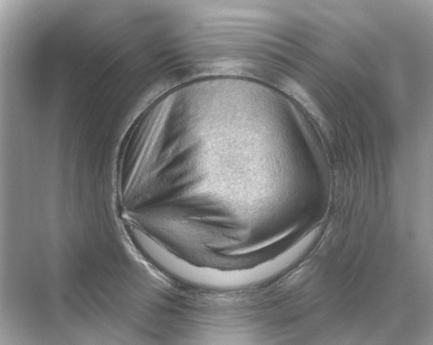 X0000070160994200606162025
