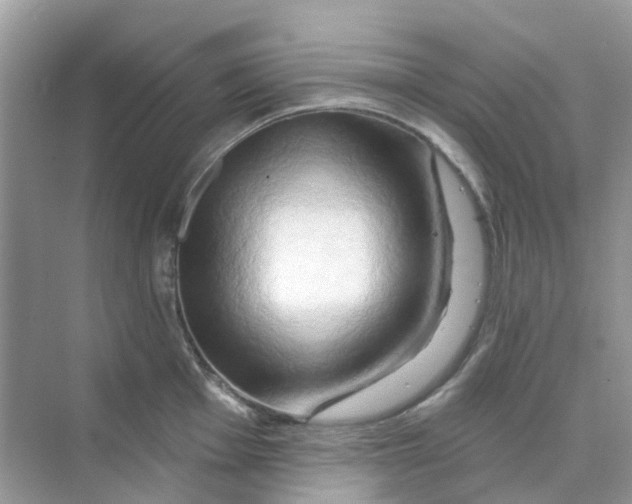 X0000070161001200606162025