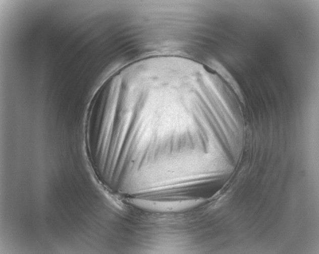 X0000070161002200606162025