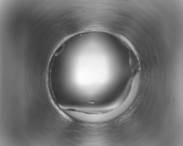 X0000070161005200606162025