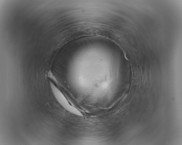 X0000070161013200606162024