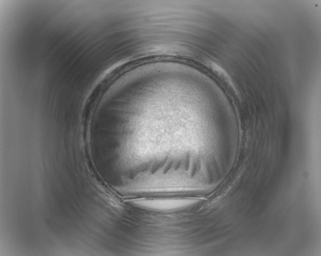 X0000070161019200606162024