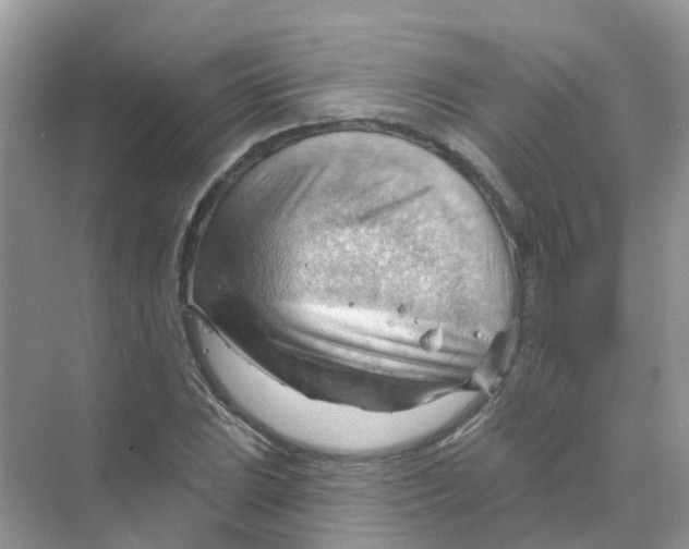 X0000070161023200606162024