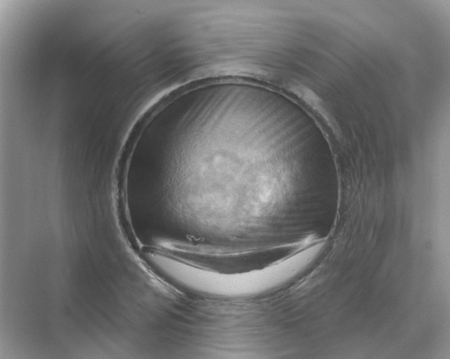 X0000070161024200606162024