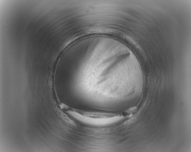 X0000070161025200606162024