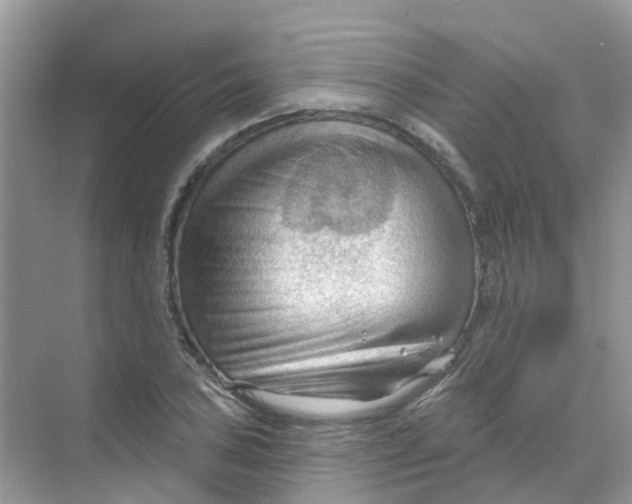 X0000070161027200606162024