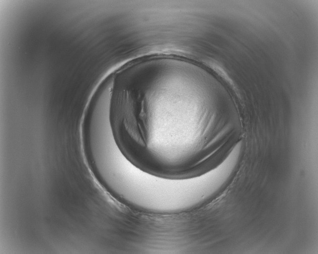 X0000070161032200606162024