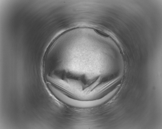 X0000070161048200606162025
