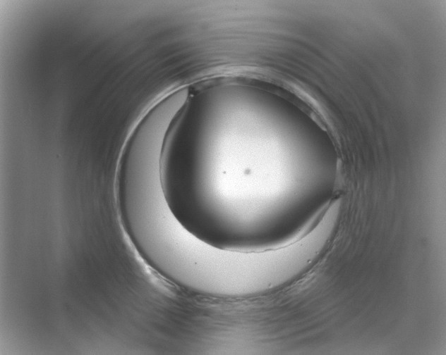 X0000070161050200606162025
