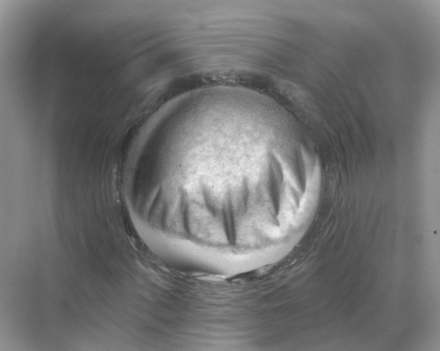 X0000070161060200606162024