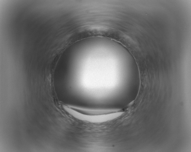 X0000070161061200606162024
