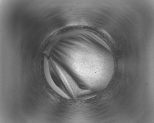 X0000070161064200606162024