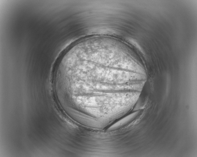 X0000070161071200606162024