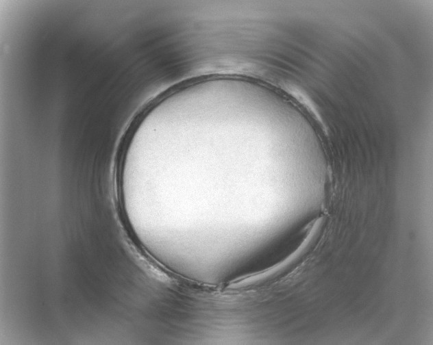 X0000070161080200606162024