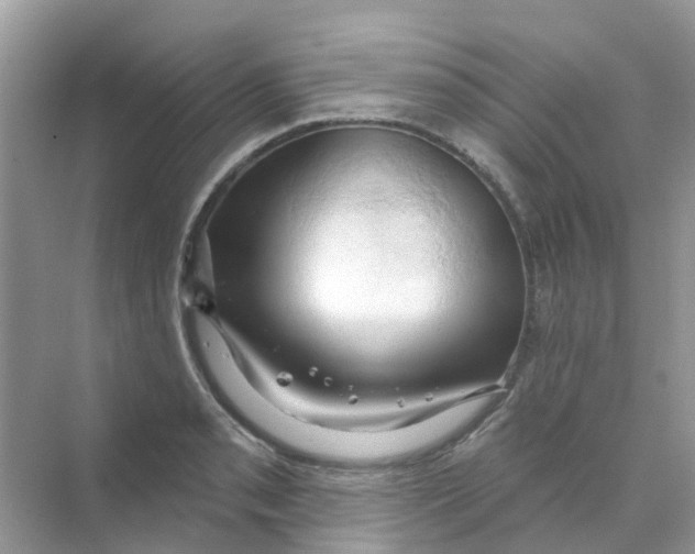 X0000070161085200606162024