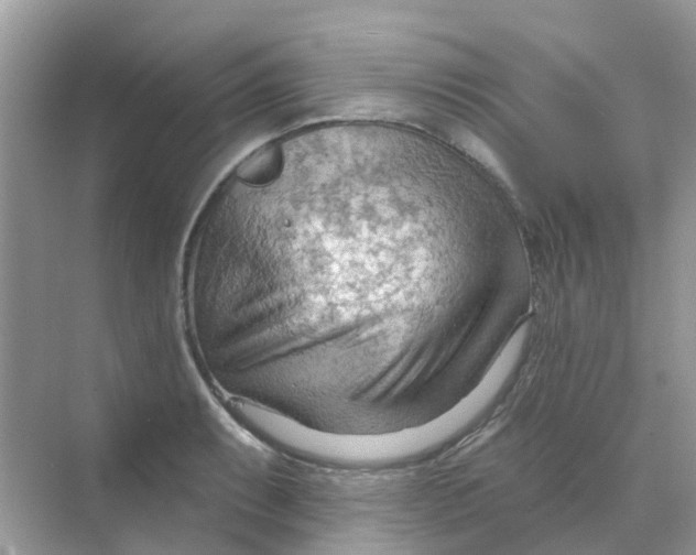 X0000070161087200606162024