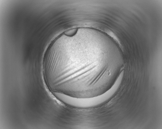 X0000070161088200606162024