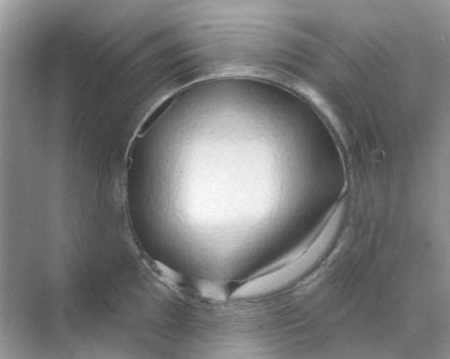 X0000070161097200606162023