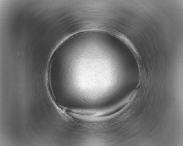 X0000070161101200606162023