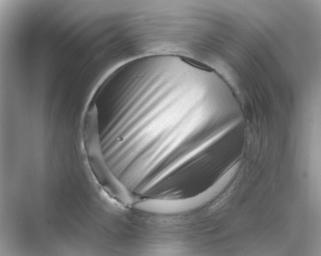 X0000070161102200606162023