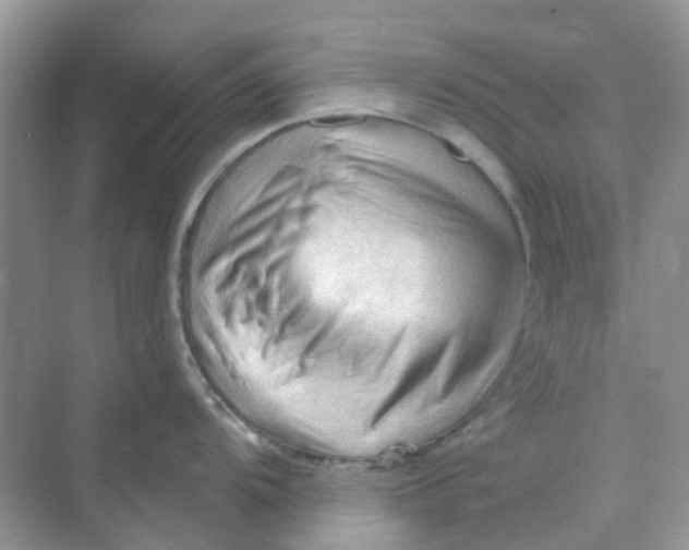 X0000070161104200606162023