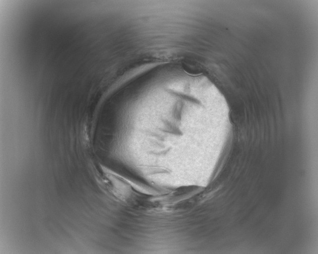X0000070161106200606162022