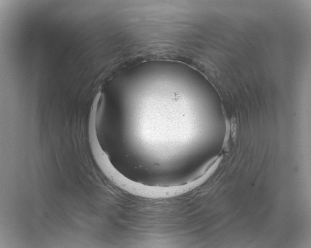 X0000070161107200606162022