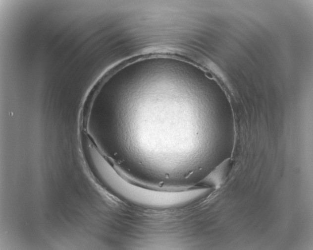X0000070161124200606162023