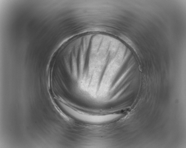 X0000070161127200606162023