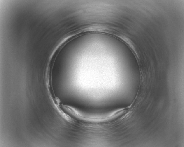X0000070161131200606162023